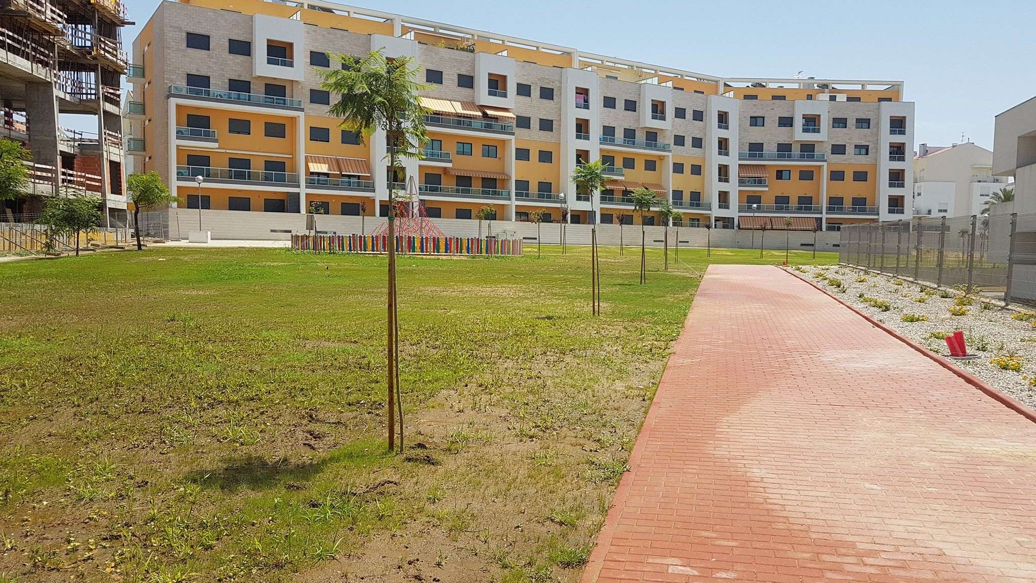 Montijo