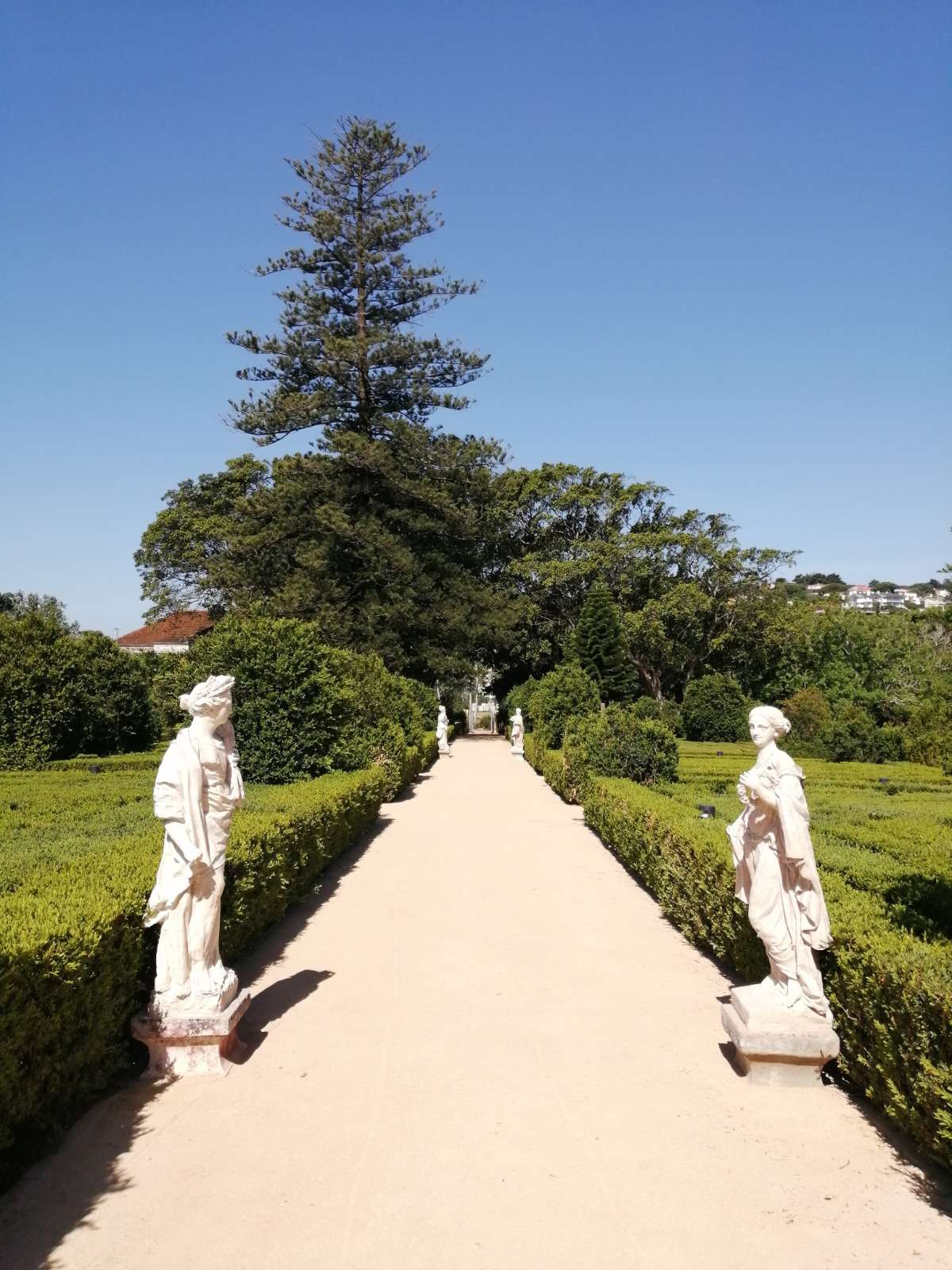 Pavimentos dos Jardins Cascata Real de Caxias